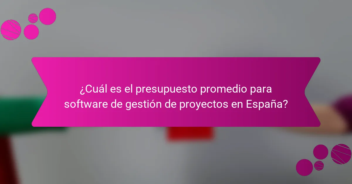 ¿Cuál es el presupuesto promedio para software de gestión de proyectos en España?
